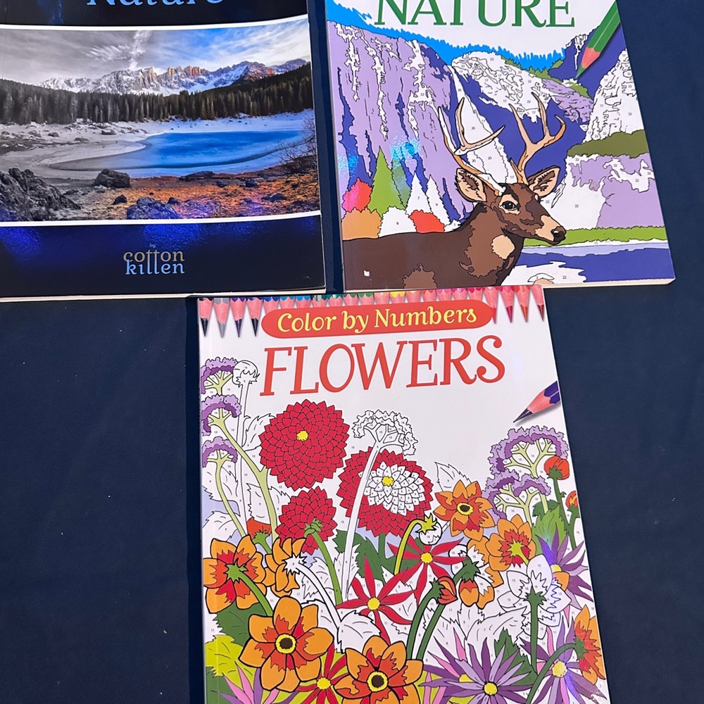 Color by Numbers Flowers Book